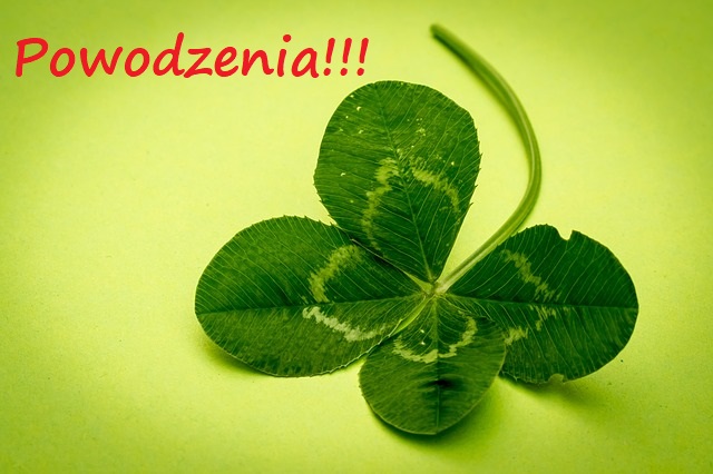 Drodzy Ósmoklasiści!