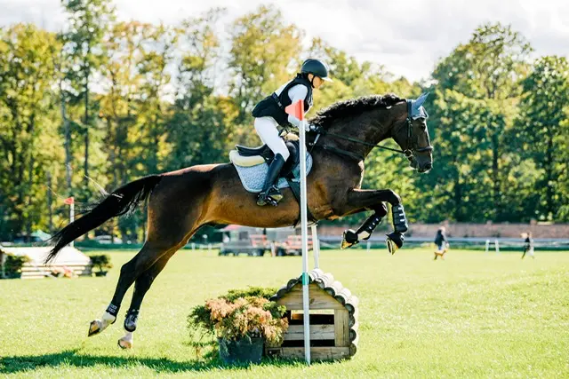 Pierwsze miejsce Hanny Dynerowicz podczas zawodów Strzegom Autumn Show w Morawie