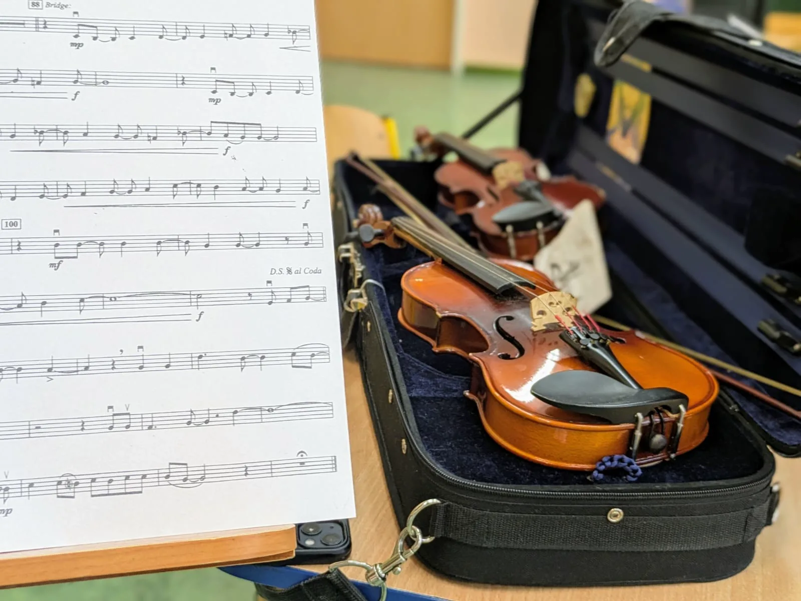 PHOTO 2025 01 17 06 54 40 4