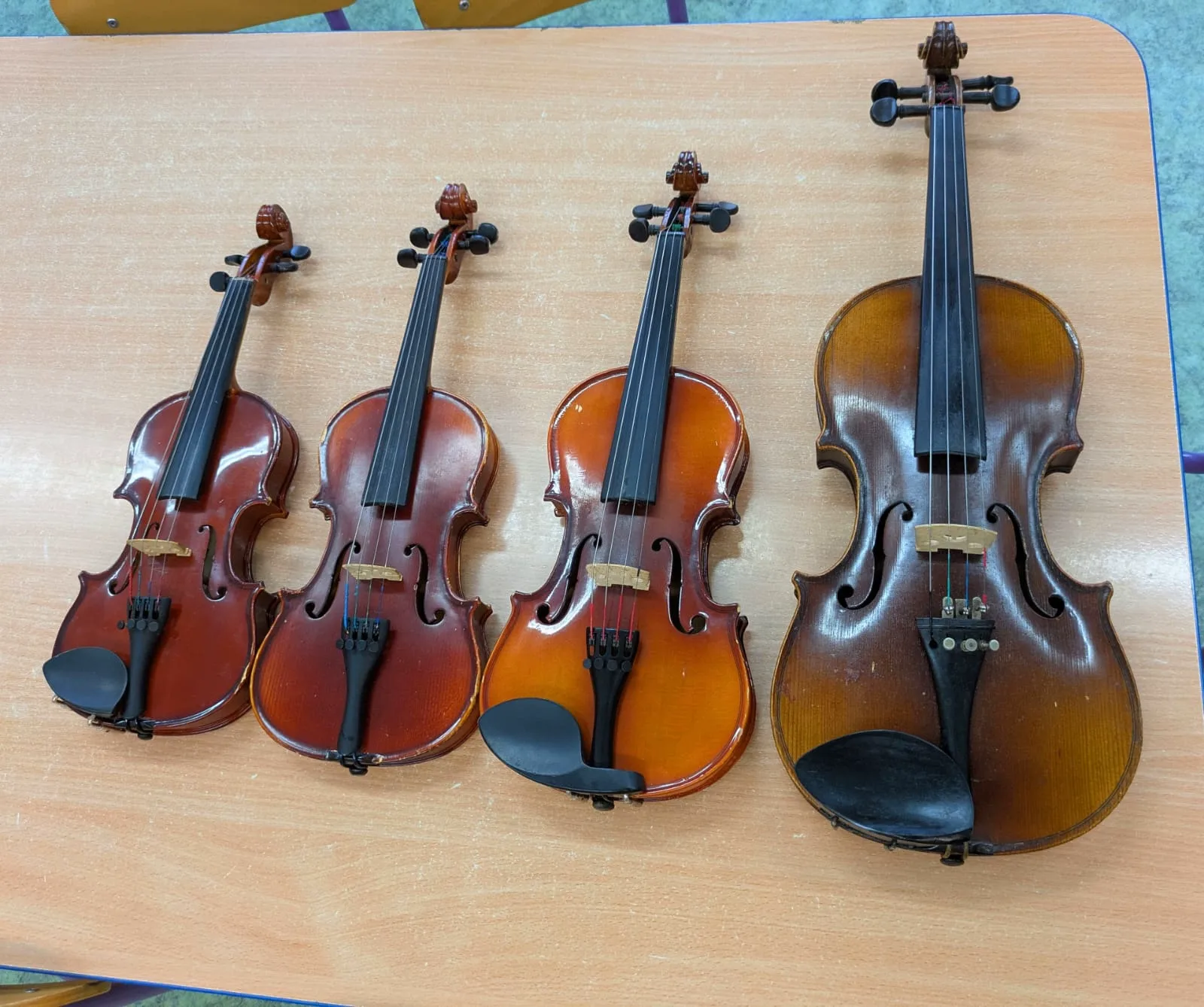 PHOTO 2025 01 17 06 54 41 5