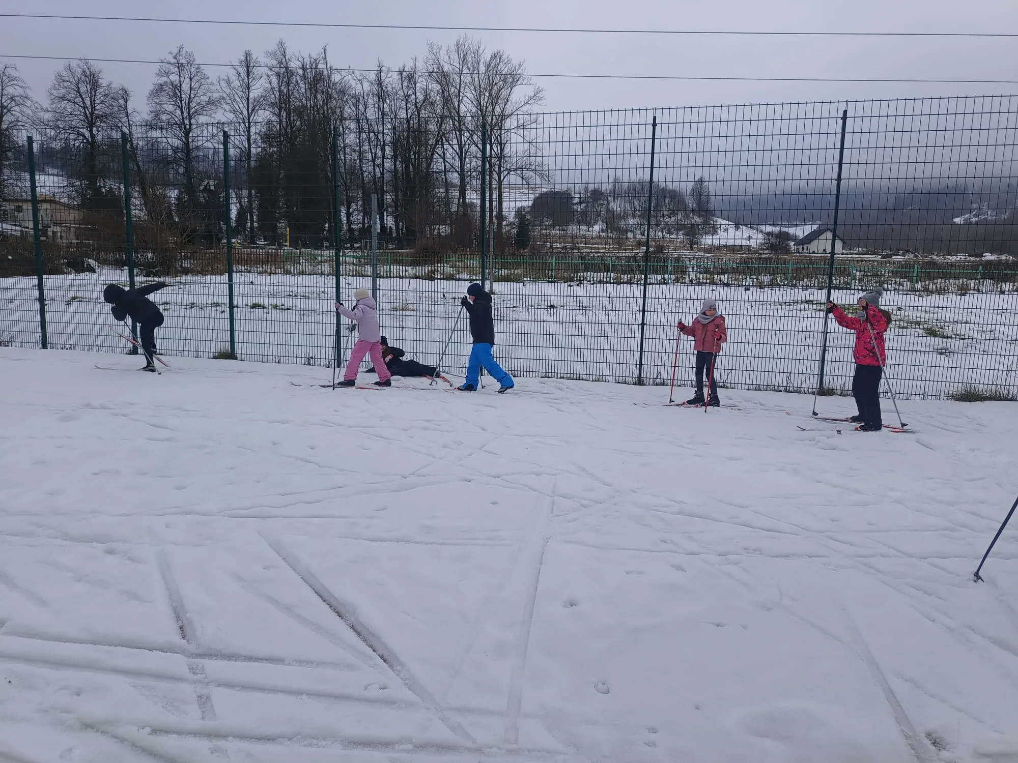 PHOTO 2026 01 16 18 09 22 4