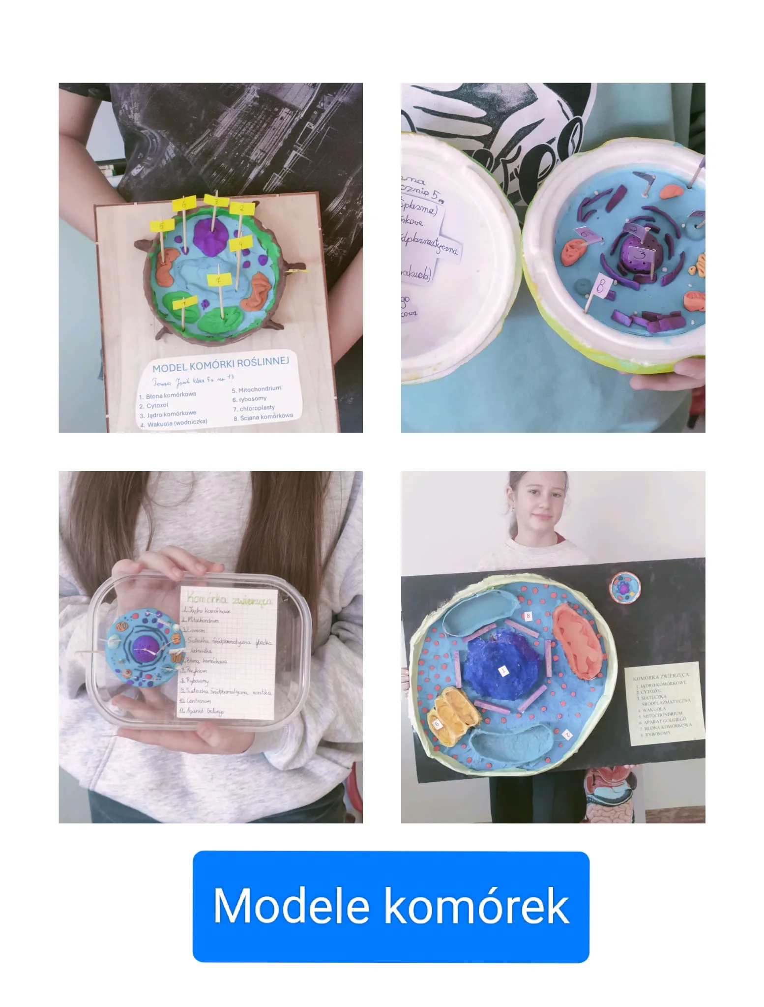 Kreatywni piątoklasiści!!!