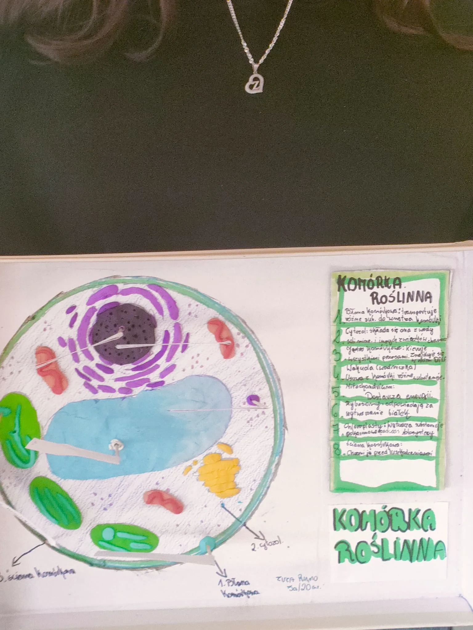 PHOTO 2026 01 26 14 35 11