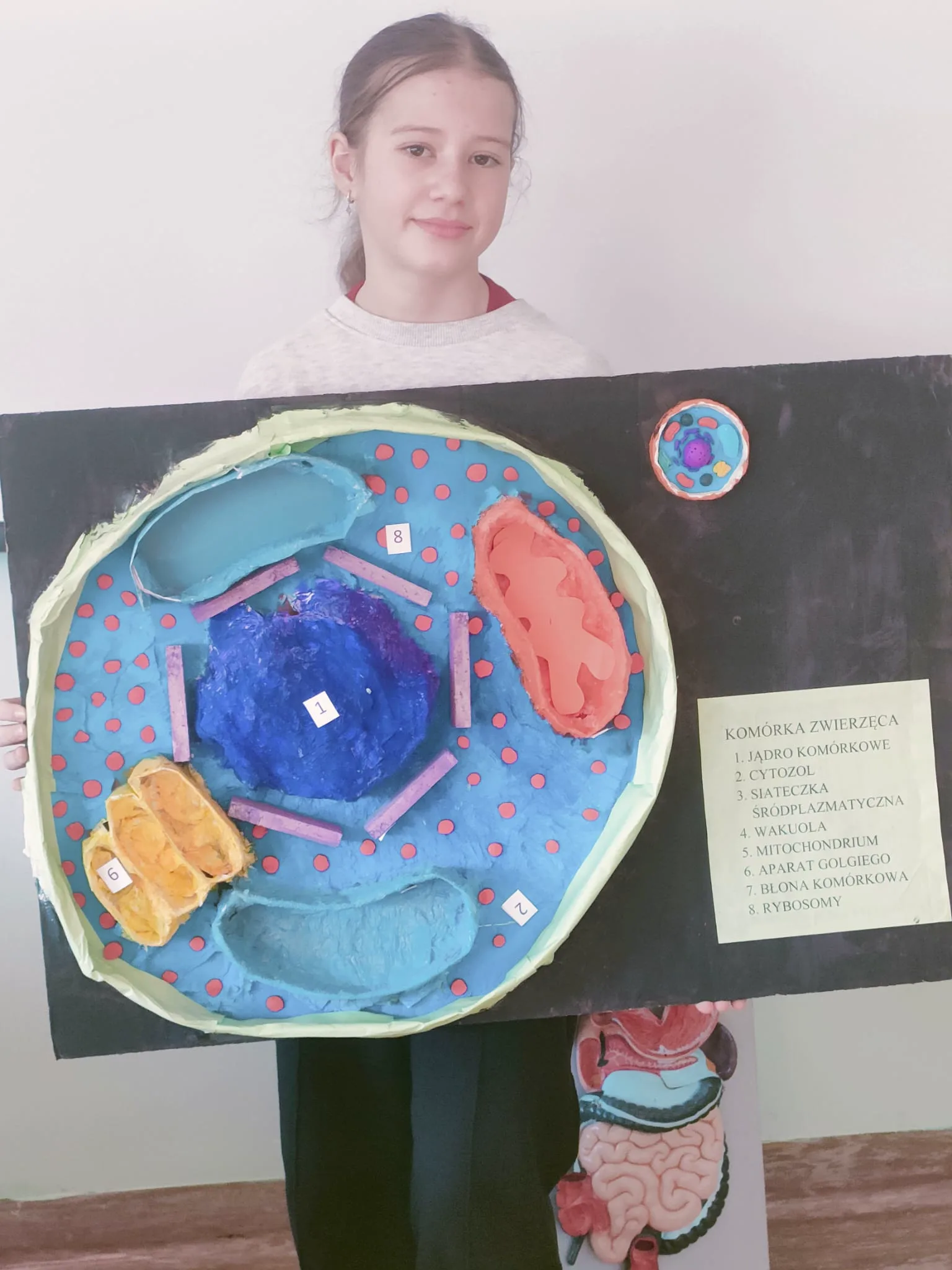 PHOTO 2026 01 26 14 35 12