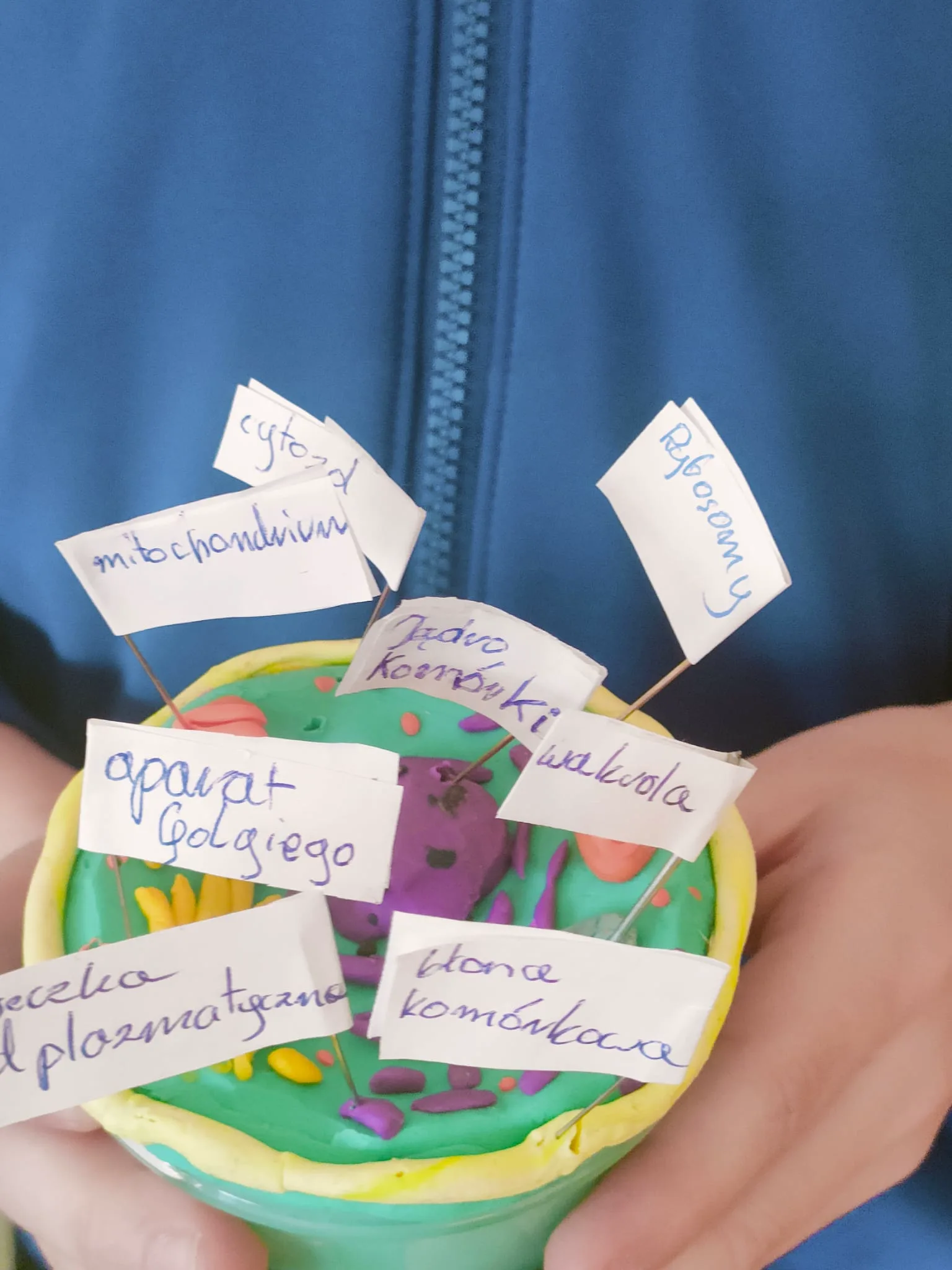 PHOTO 2026 01 26 14 35 13