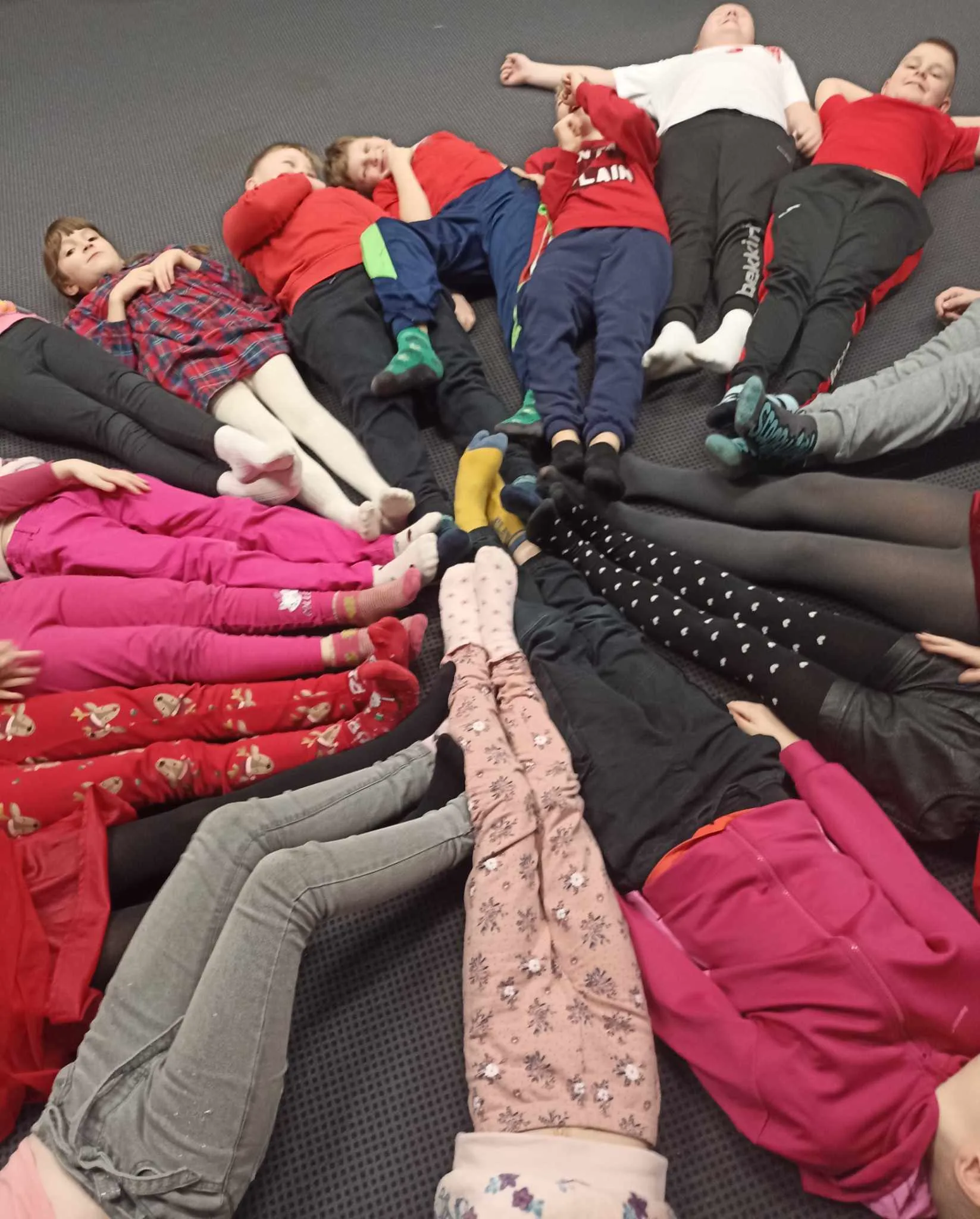 426828267 923494312507133 7116358039573718531 n