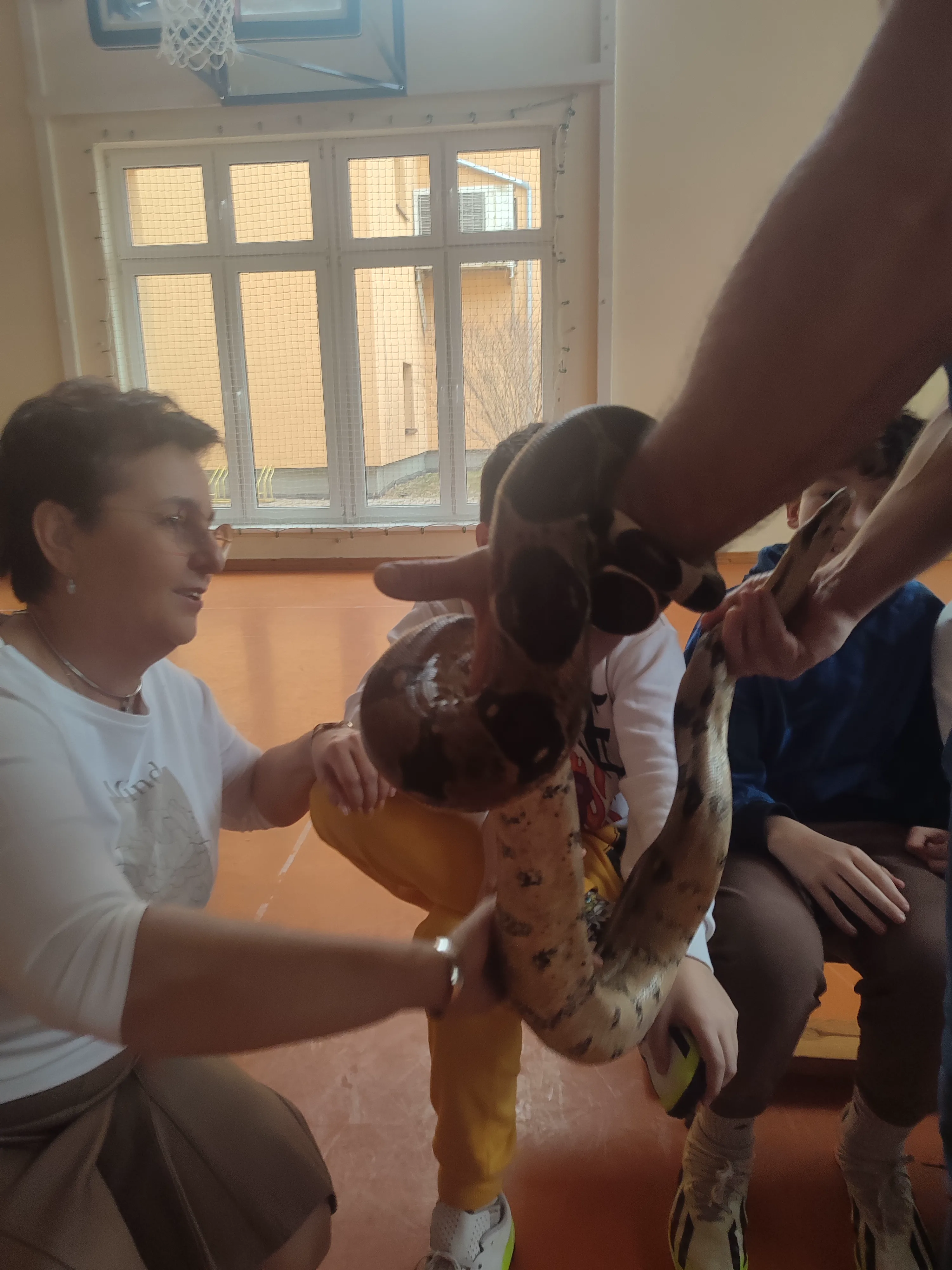 Zdjęcie 11 z albumu Gady