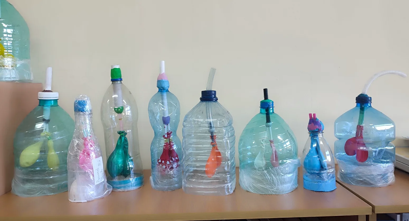 UKŁAD ODDECHOWY MODEL W 3D