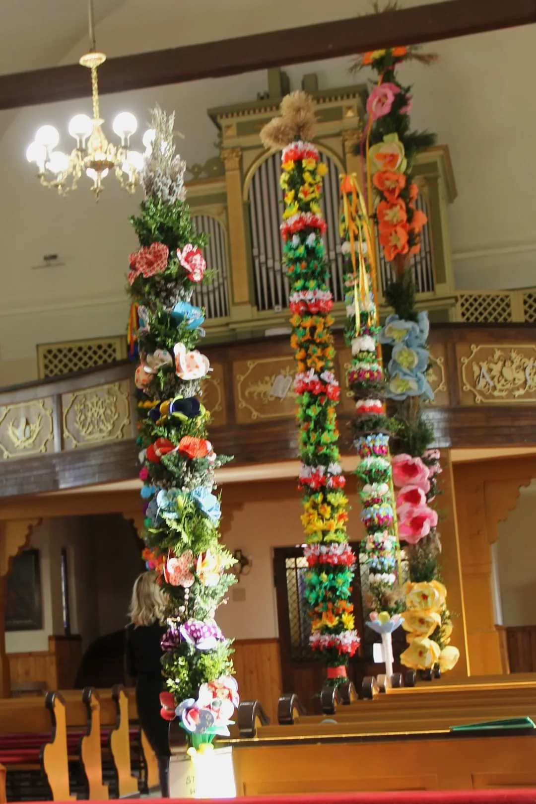 FB IMG 1711373545092