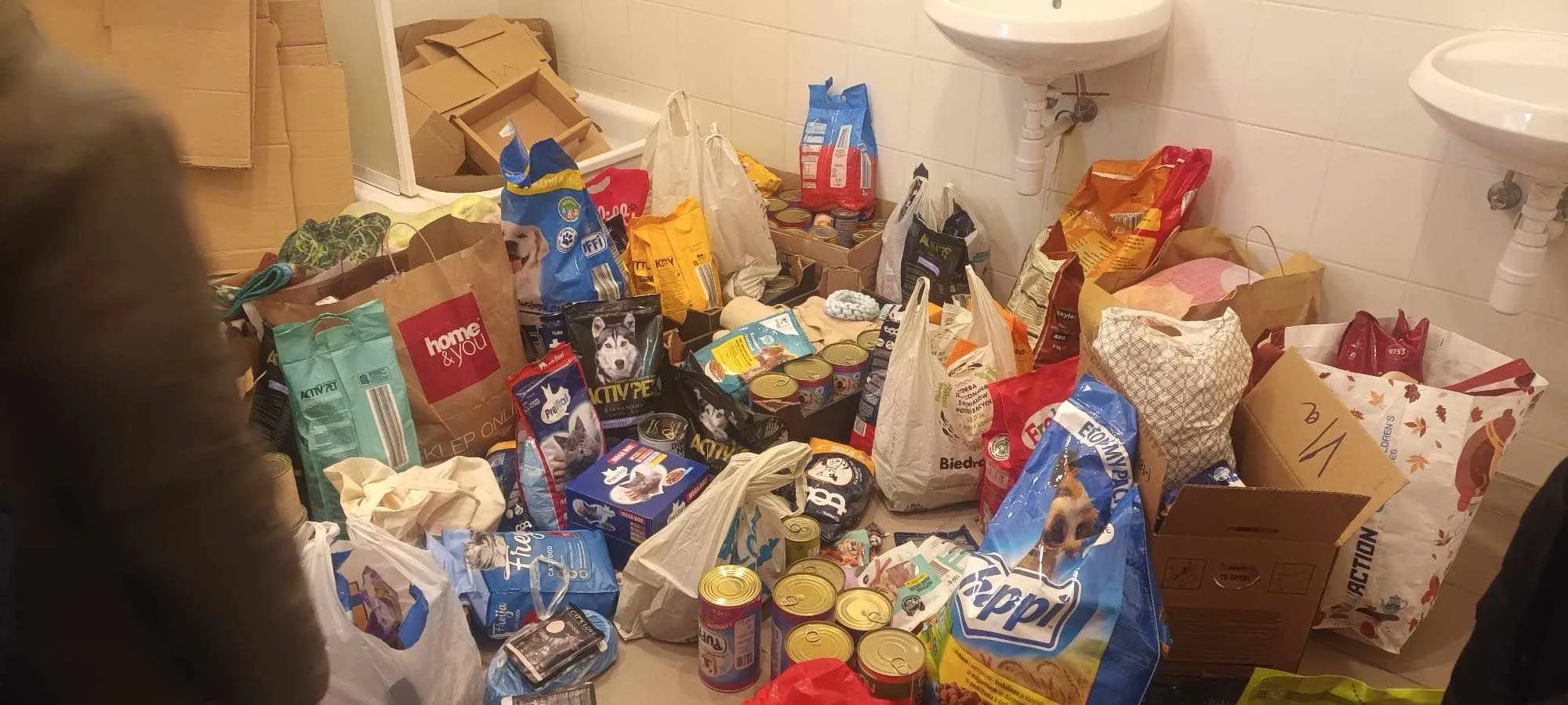 Zdjęcie 6 z albumu Schronisko