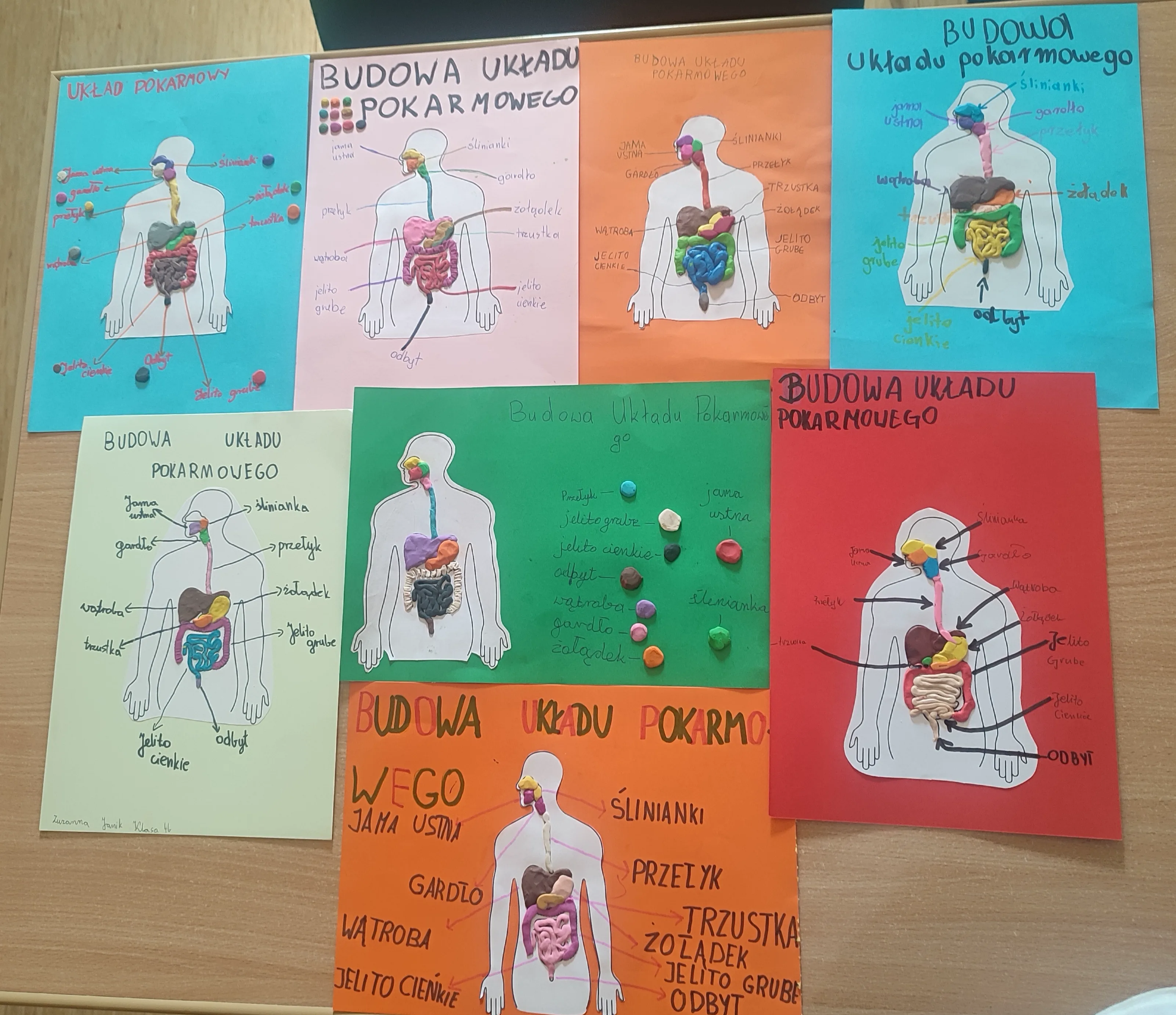 KOLOROWA PODRÓŻ DO WNĘTRZA CZŁOWIEKA