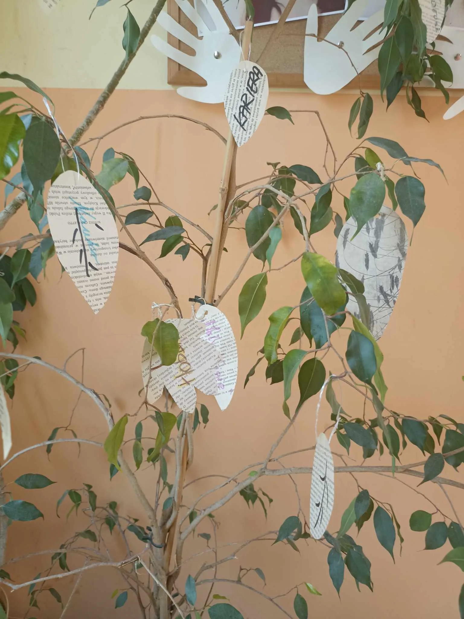 435528677 800656295448952 6539642260740245144 n