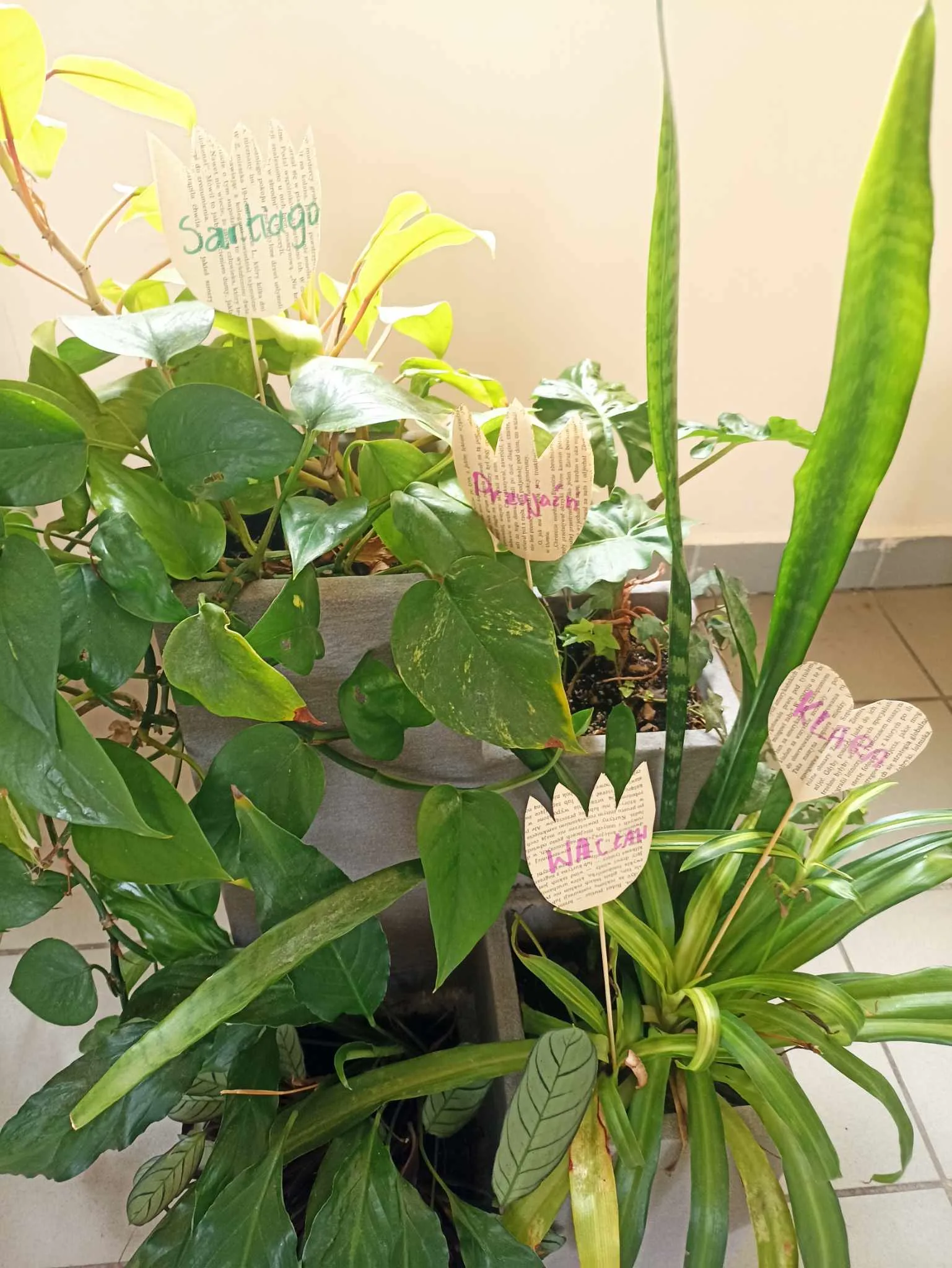 436341004 434261219295589 6153017666493154749 n