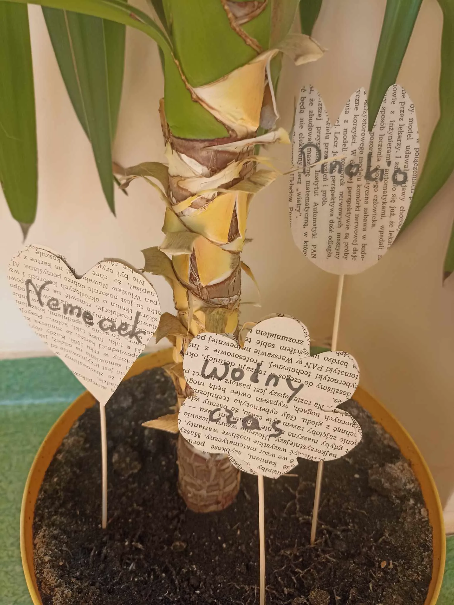 436524903 811412567534456 7673655531468837676 n