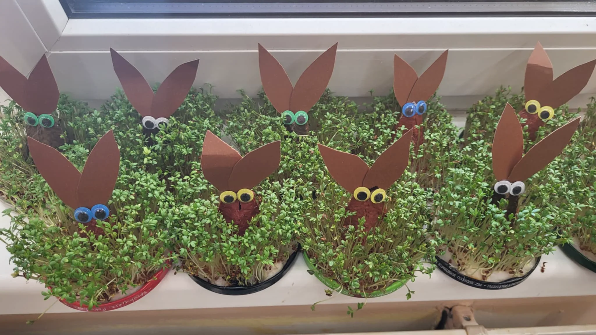 Messenger creation 16EEC819 E7A2 438F AA37 9A61C00D50F2