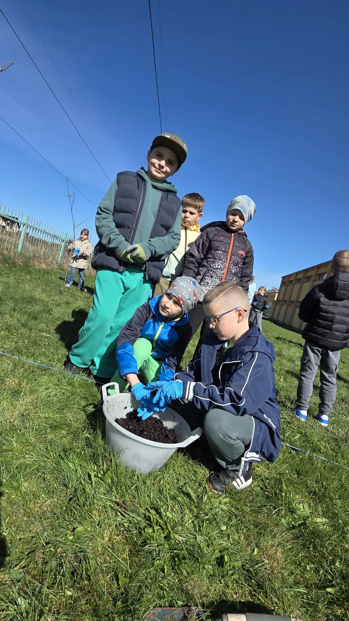 Zdjęcie 5 z galerii Bomby nasienne