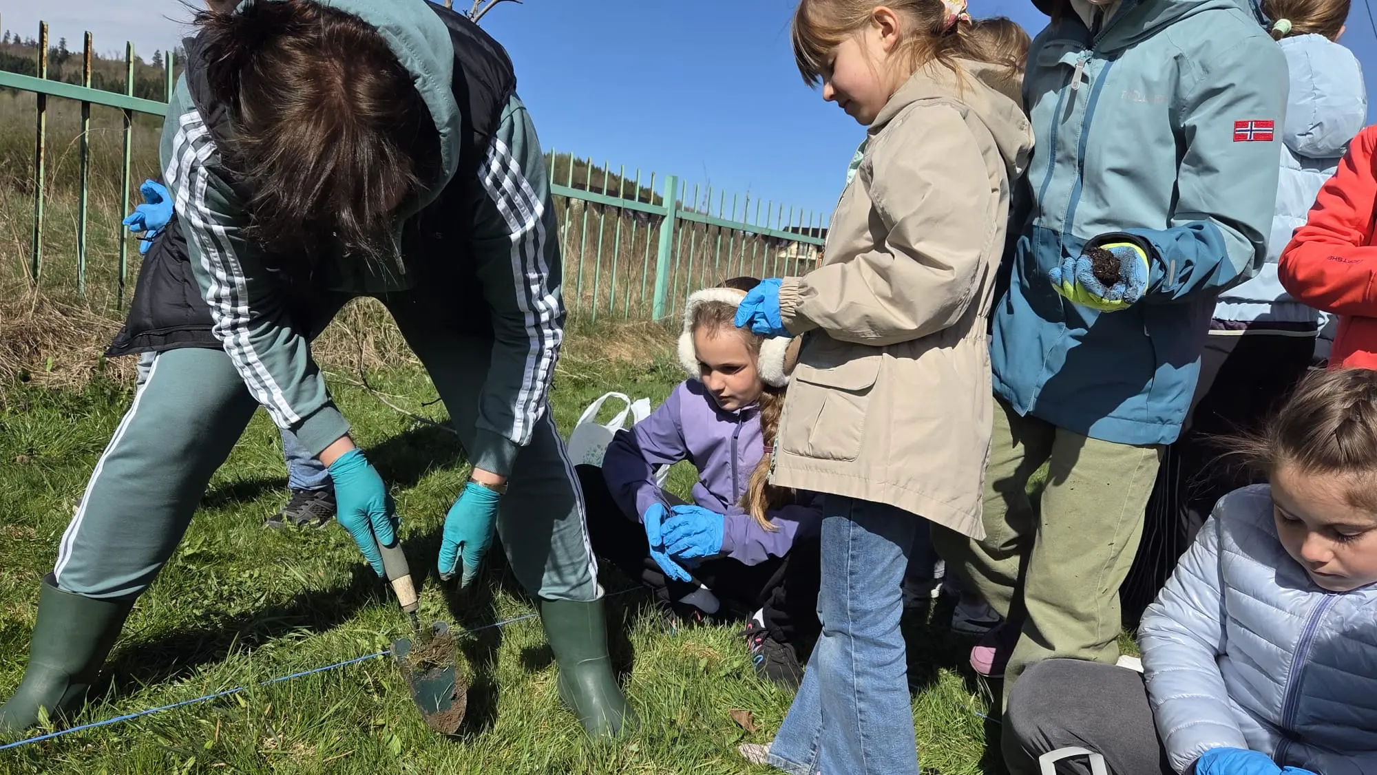 Zdjęcie 6 z galerii Bomby nasienne