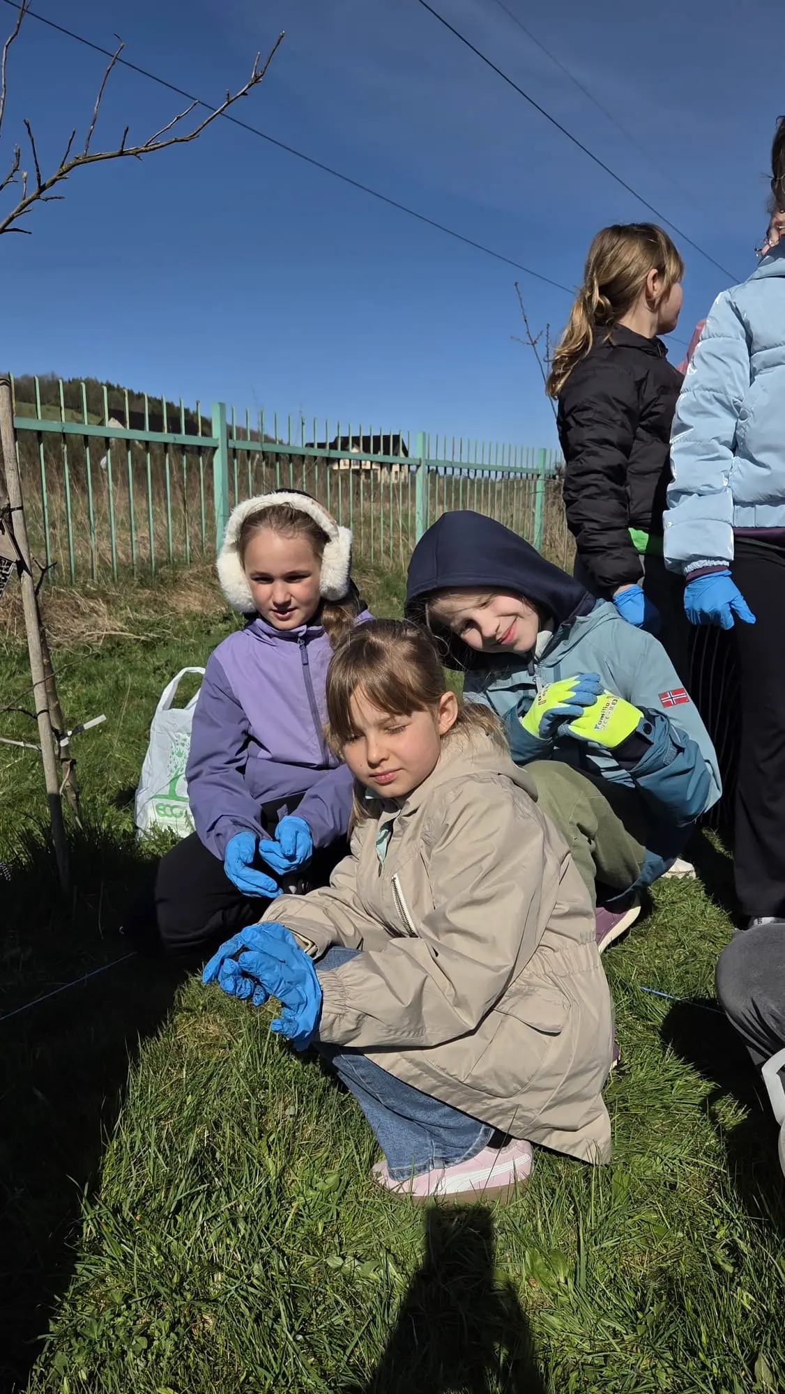 Zdjęcie 7 z galerii Bomby nasienne