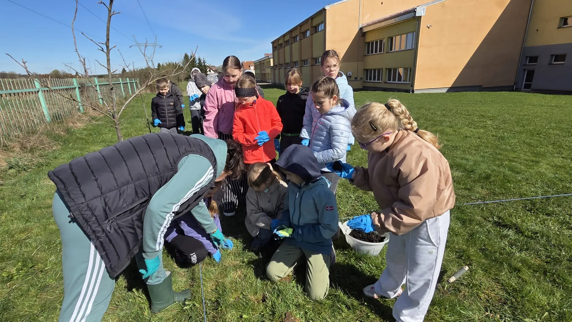 Zdjęcie 8 z galerii Bomby nasienne