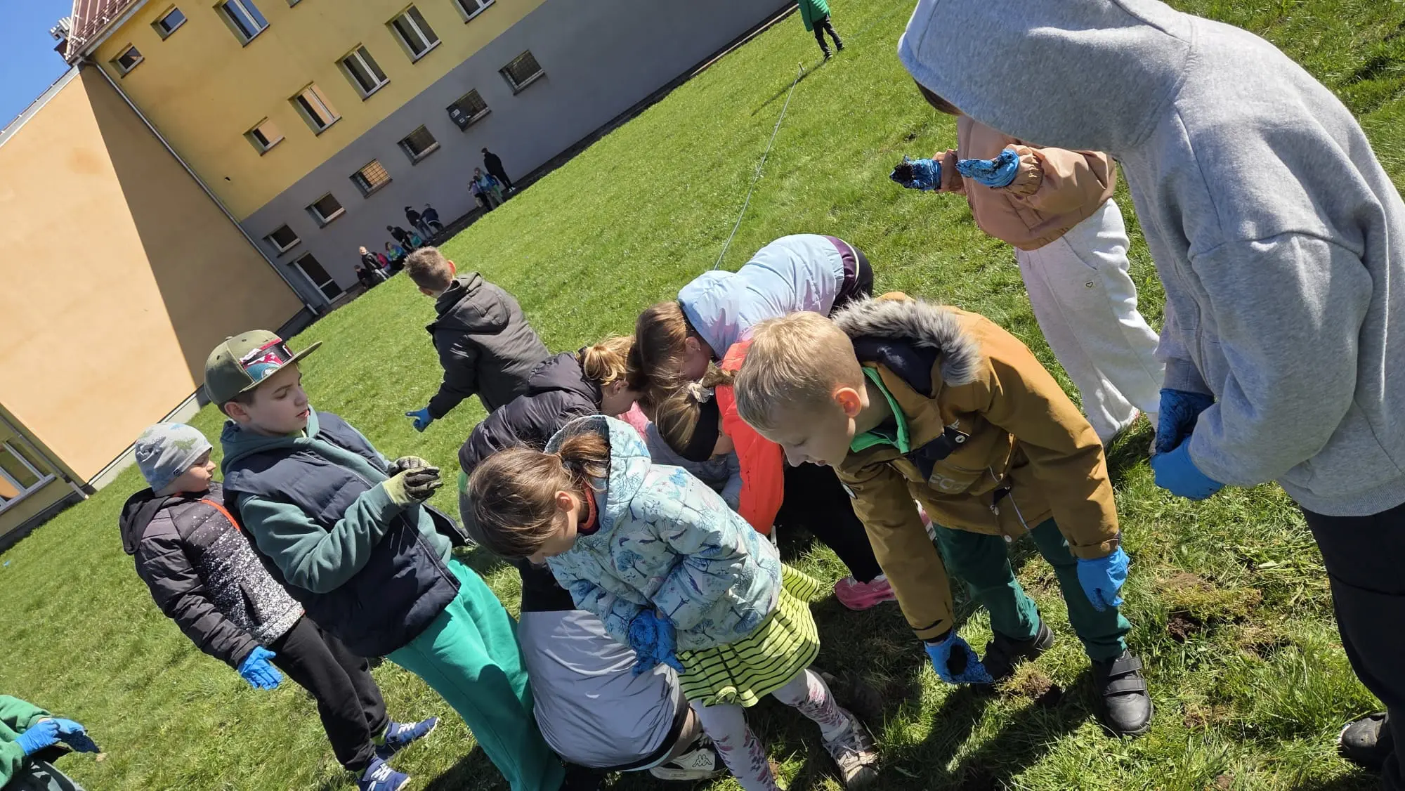 Zdjęcie 10 z galerii Bomby nasienne