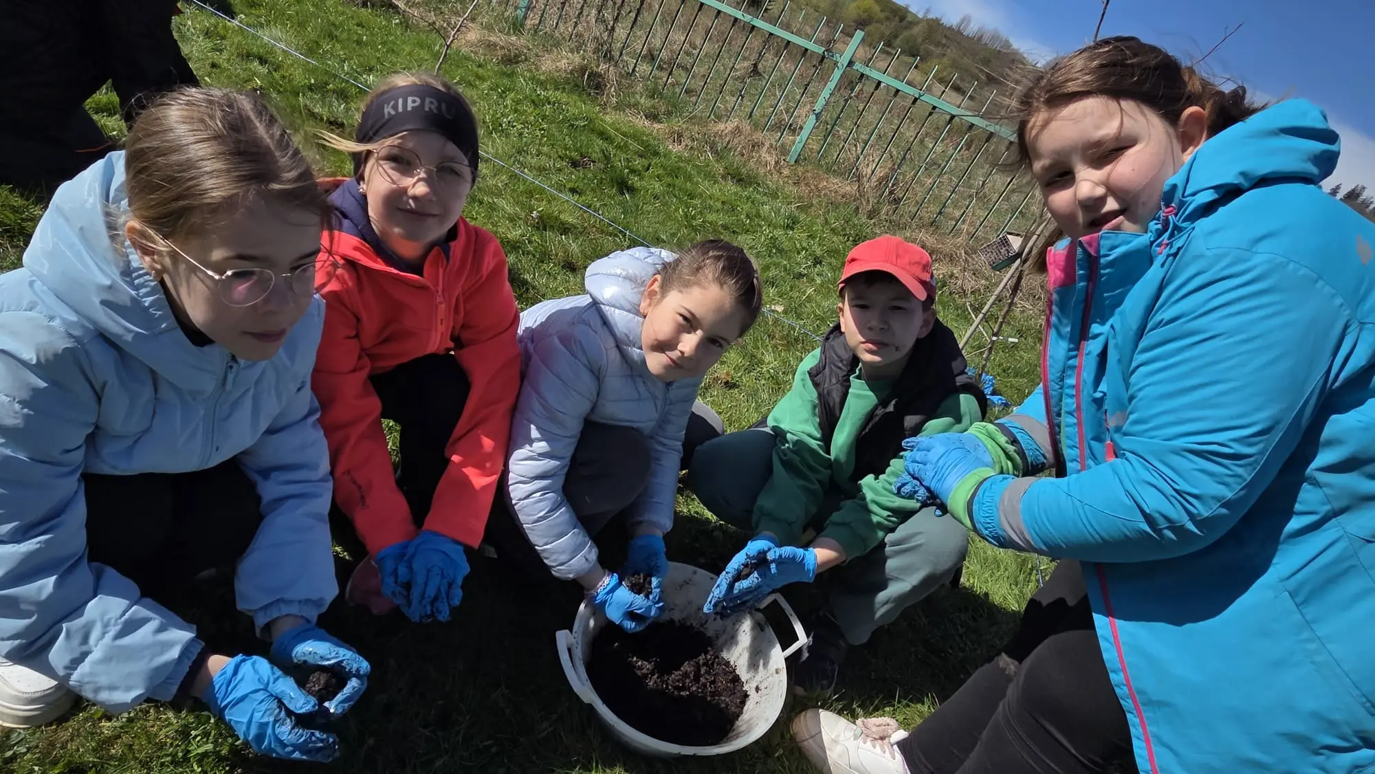 Zdjęcie 14 z galerii Bomby nasienne