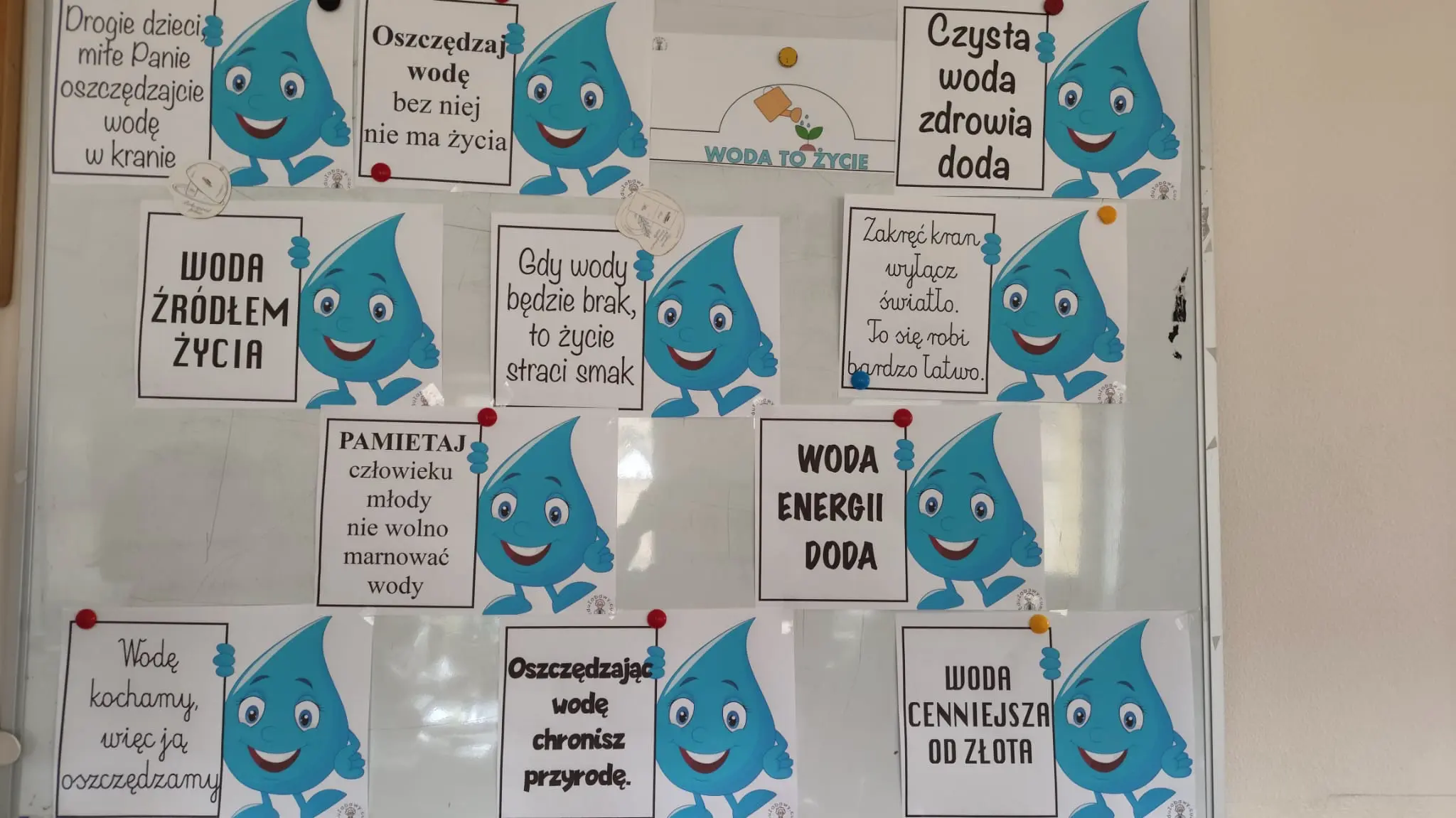 Zdjęcie 23 z galerii Światowy Dzień Wody