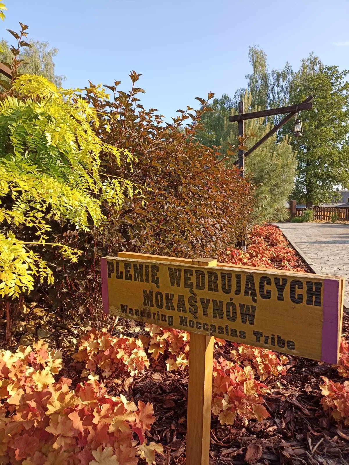 9747b77f d543 4b02 ab48 685fdd76659f