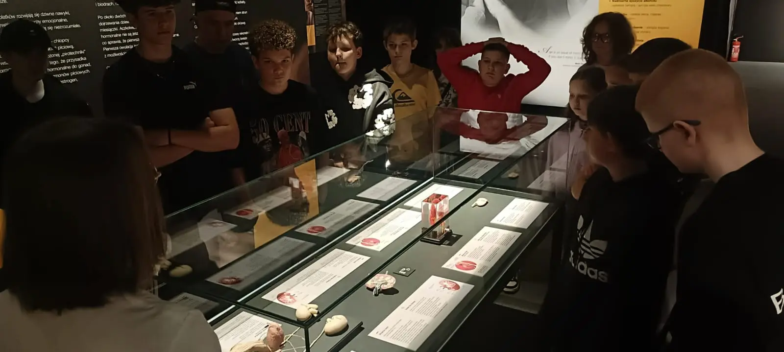 Zdjęcie 15 z galerii Niezapomniana przygoda we Wrocławiu