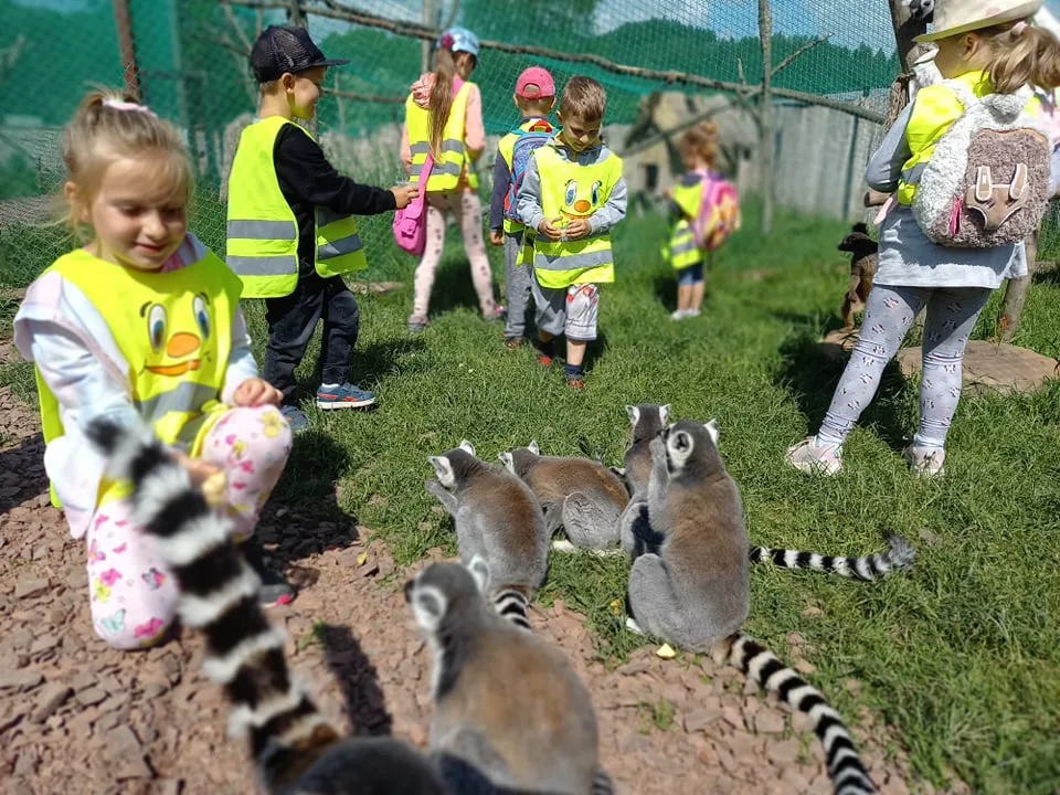 Zdjęcie 7 z albumu Czerwiec 2006