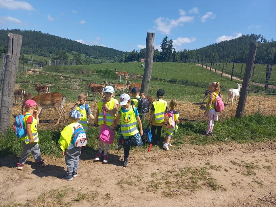 Zdjęcie 8 z albumu Czerwiec 2006