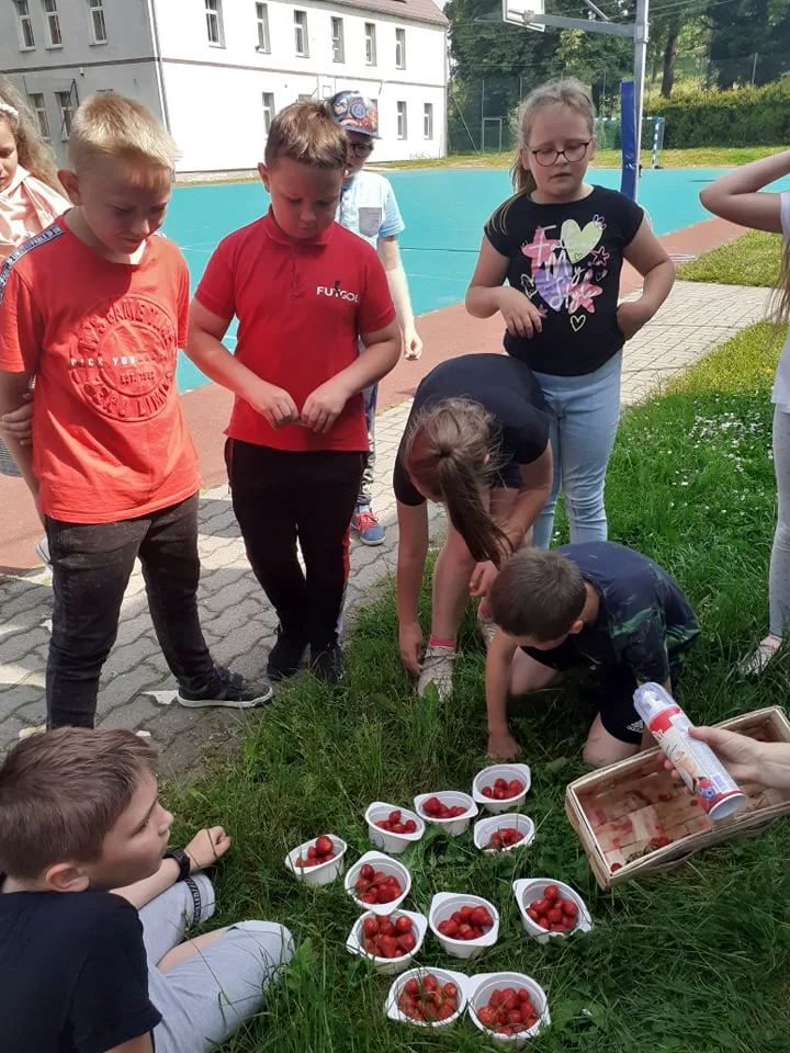 Zdjęcie 21 z albumu Czerwiec 2006