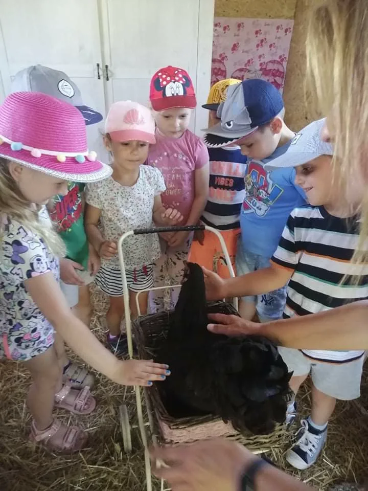 Zdjęcie 52 z albumu Czerwiec 2006