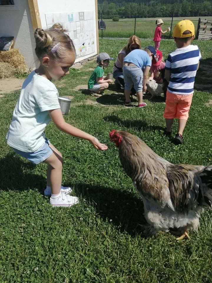 Zdjęcie 55 z albumu Czerwiec 2006