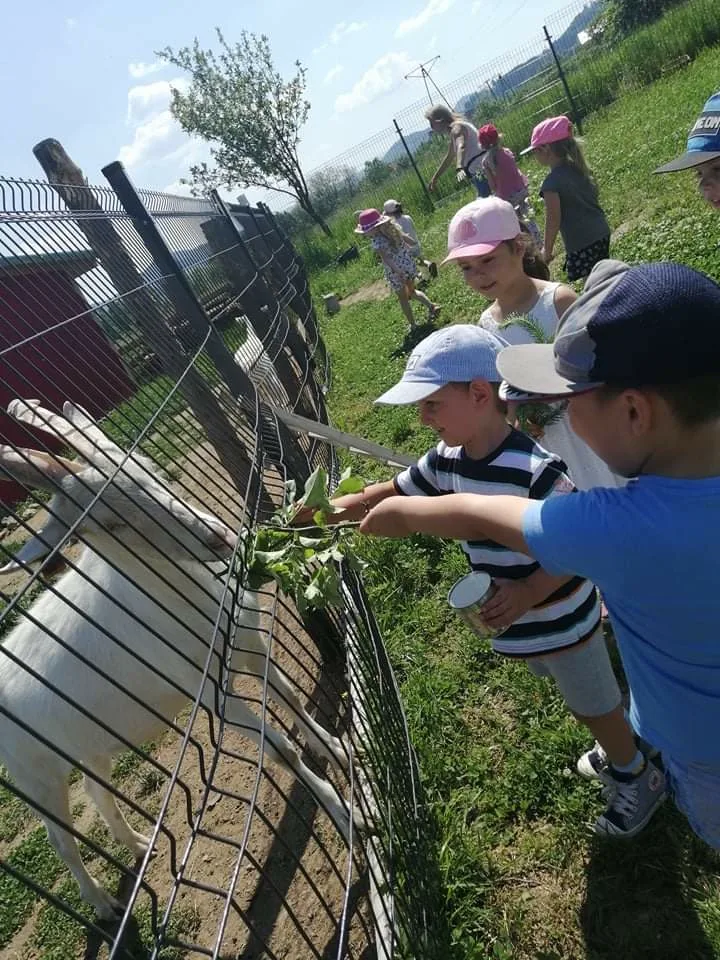 Zdjęcie 62 z albumu Czerwiec 2006