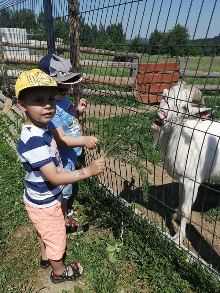 Zdjęcie 63 z albumu Czerwiec 2006