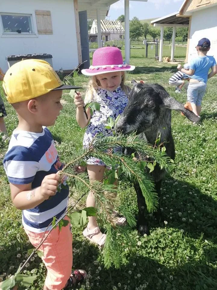 Zdjęcie 64 z albumu Czerwiec 2006