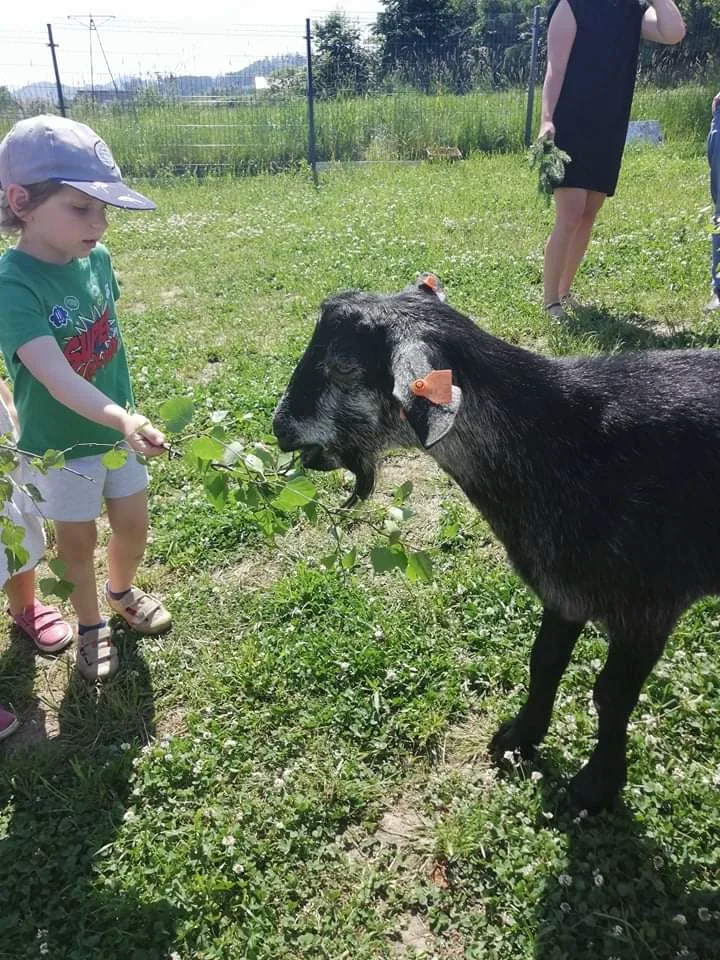 Zdjęcie 66 z albumu Czerwiec 2006