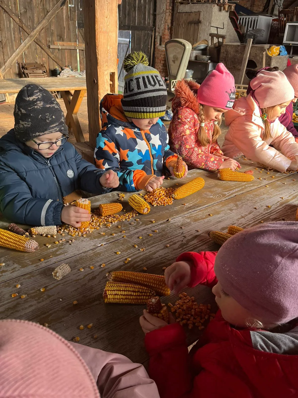 PHOTO 2024 06 04 13 26 15