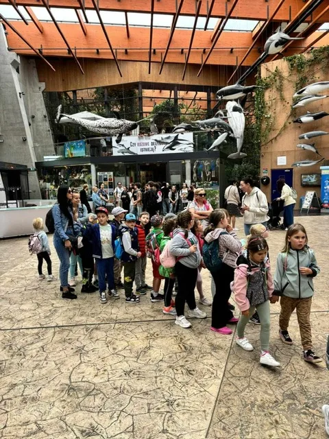 PHOTO 2024 06 05 08 43 12