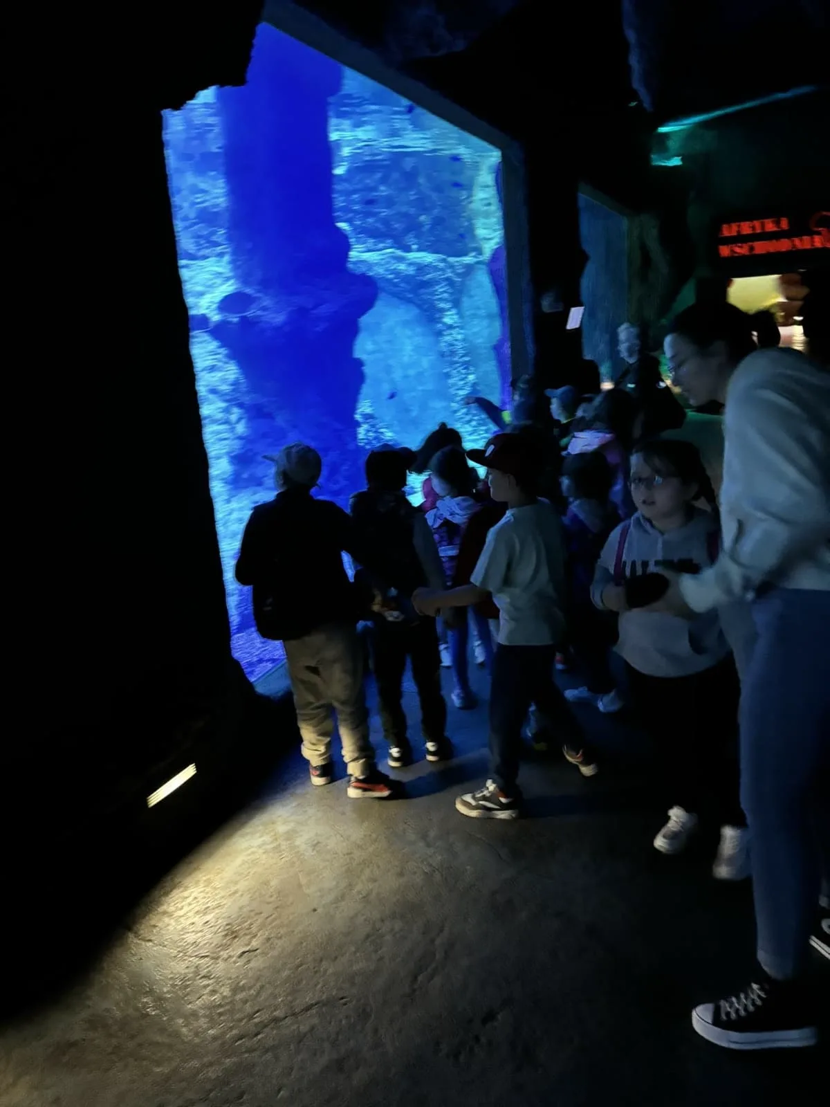 PHOTO 2024 06 05 08 43 12 2