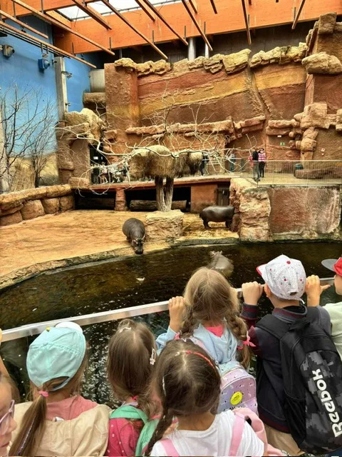 PHOTO 2024 06 05 08 43 13