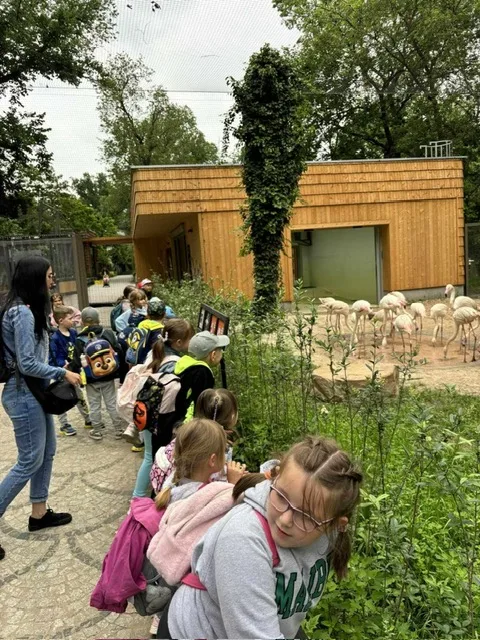 PHOTO 2024 06 05 08 43 13 1