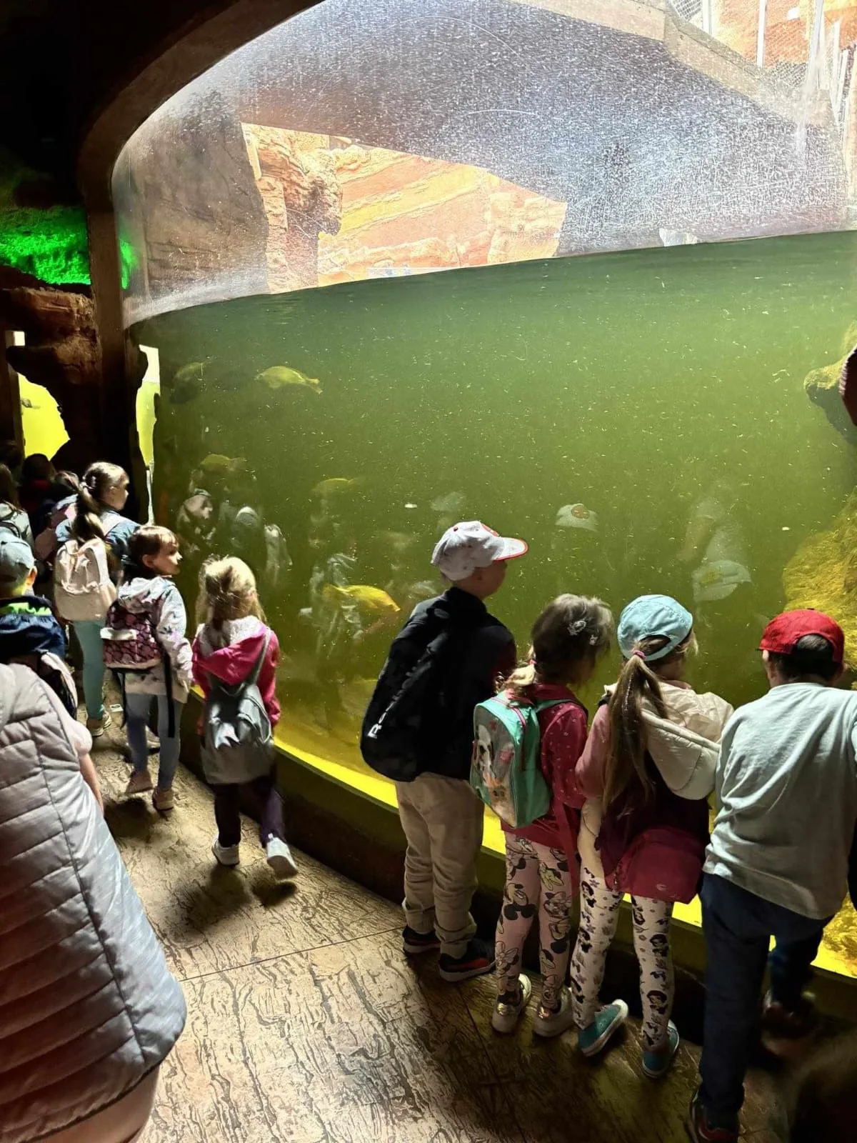 PHOTO 2024 06 05 08 43 13 2