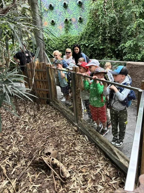 PHOTO 2024 06 05 08 43 14 3