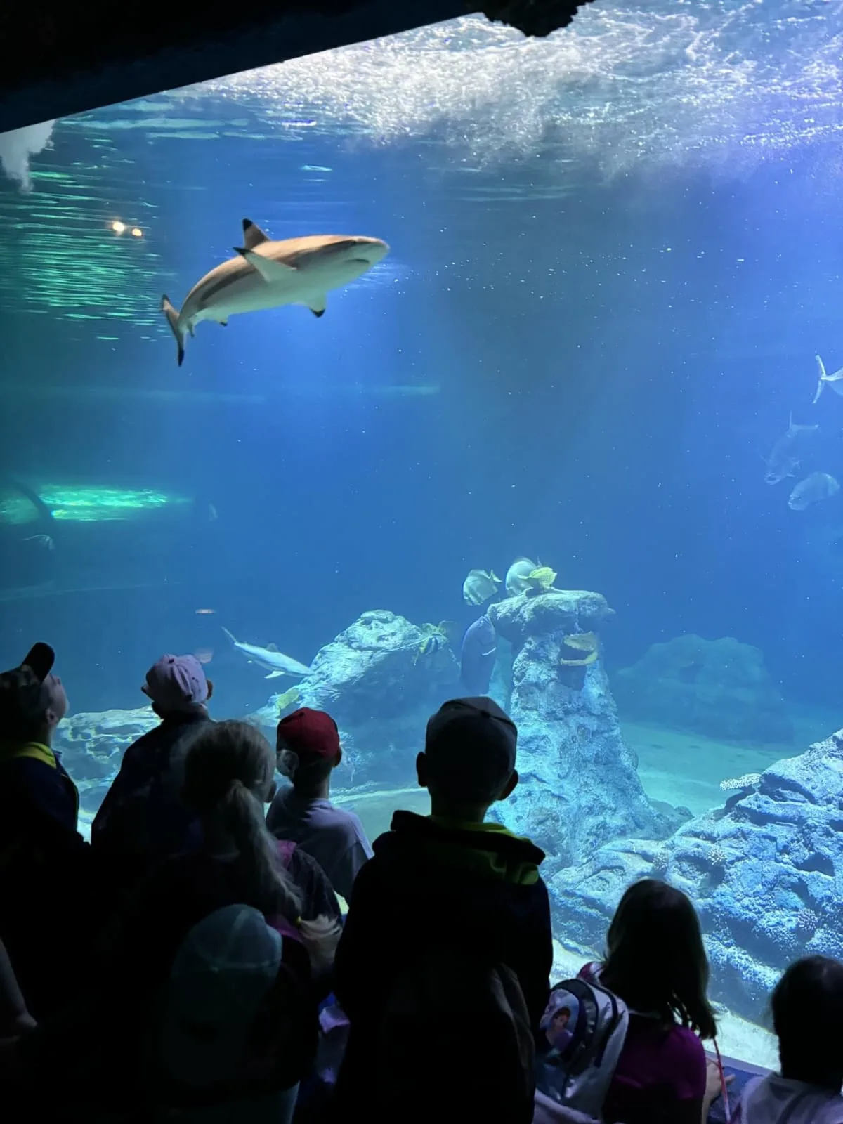 PHOTO 2024 06 05 08 43 15