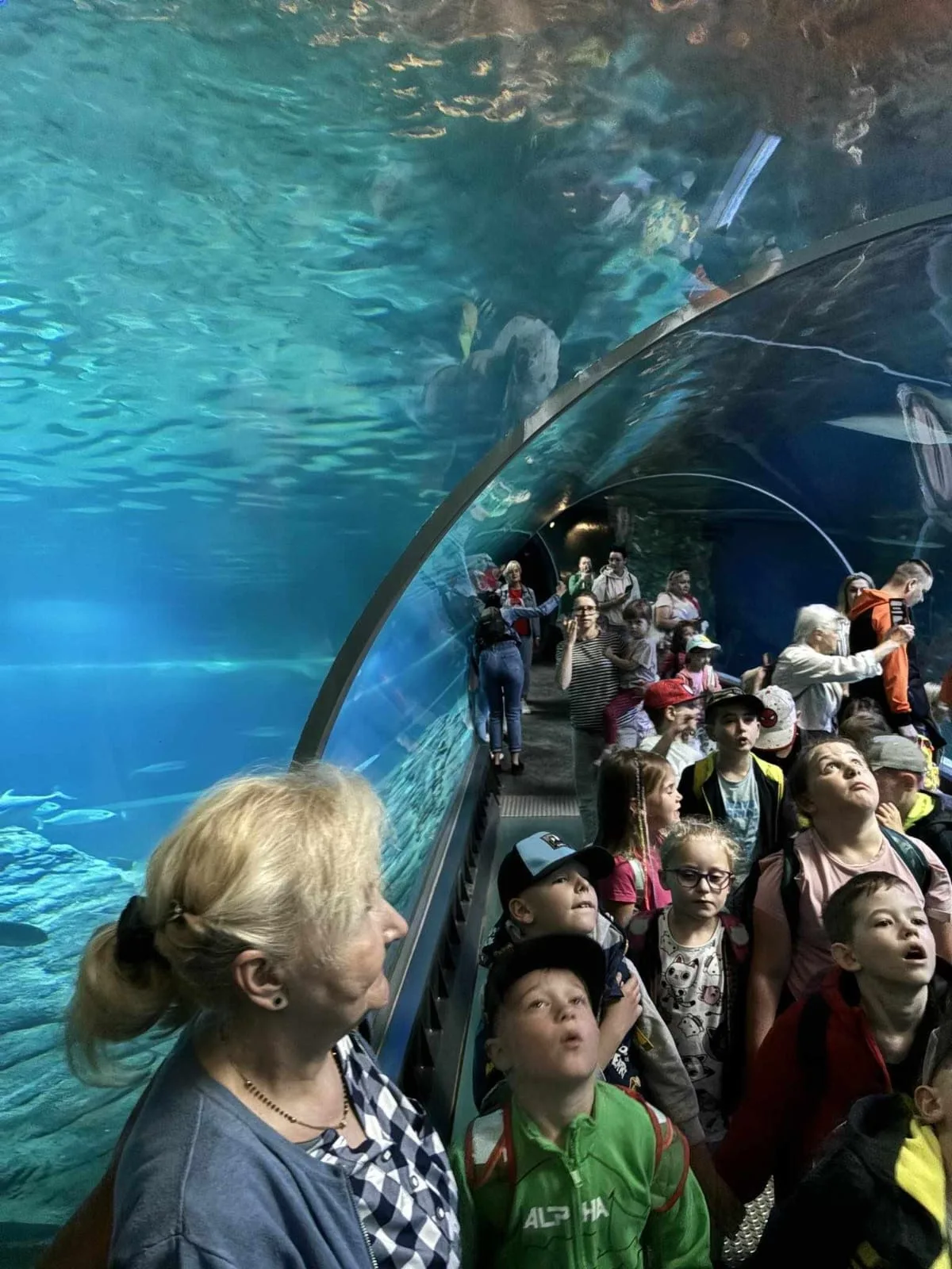 PHOTO 2024 06 05 08 43 15 3