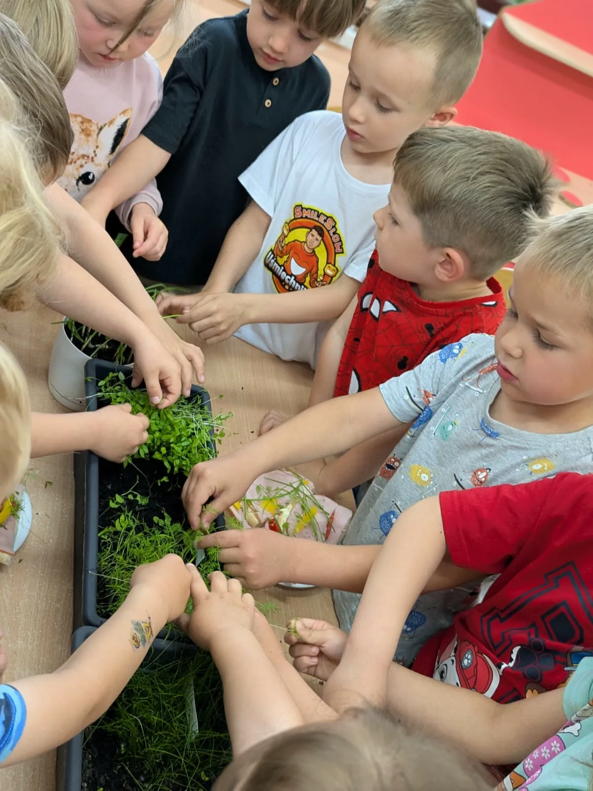 PHOTO 2025 06 03 14 05 58