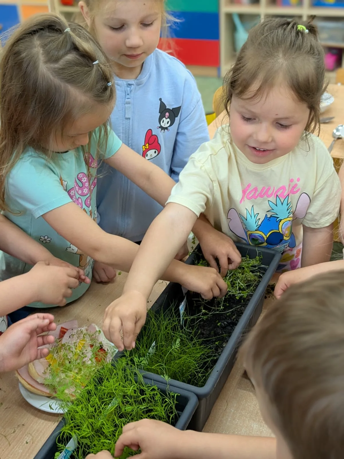 PHOTO 2025 06 03 14 05 59