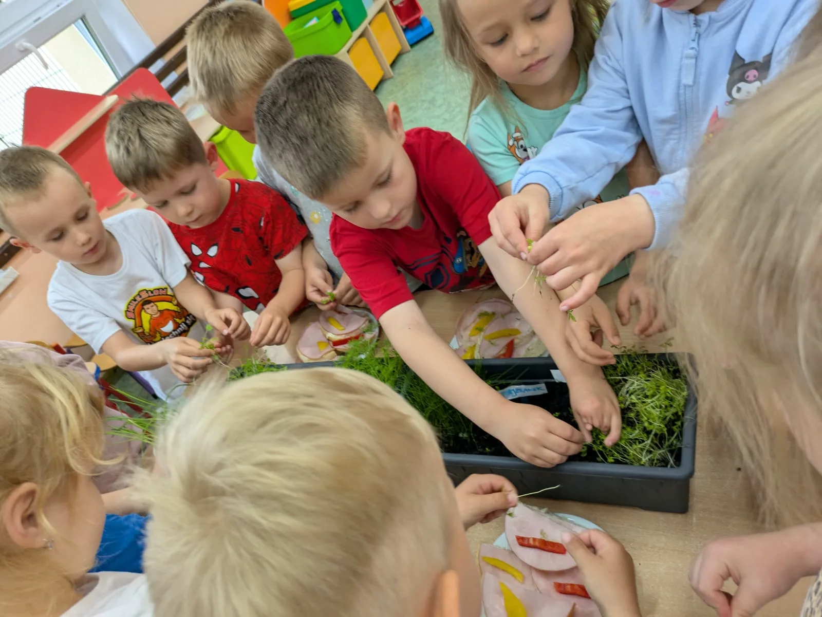 PHOTO 2025 06 03 14 06 05 2