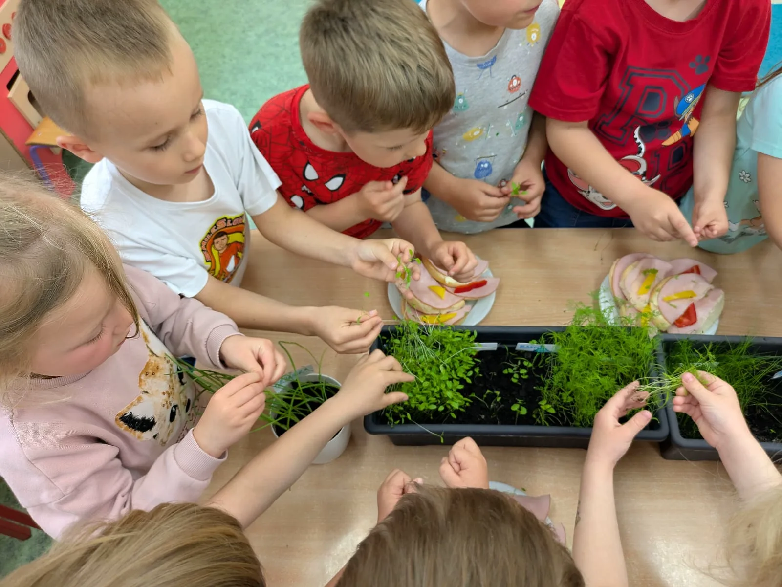 PHOTO 2025 06 03 14 06 05